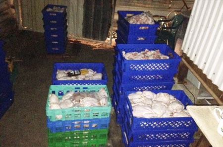 ����� ����� �� ������ ������ ��� ������� ��� 