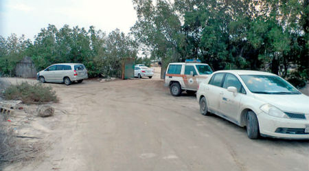 ����� ���� ������ ����� �������