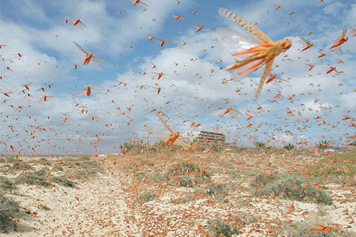 �������� ���� ������� ����� ������