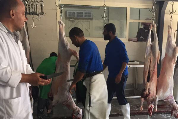 لحوم - ملحمة