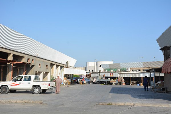 ����� ����� ����� ������