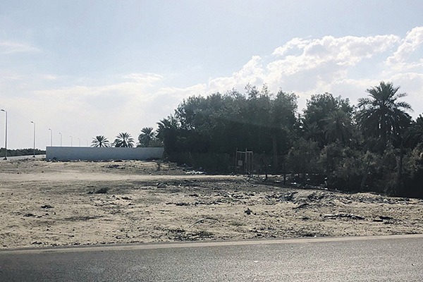 ������� ���� ���� ����� ��� ����� ��������� ������