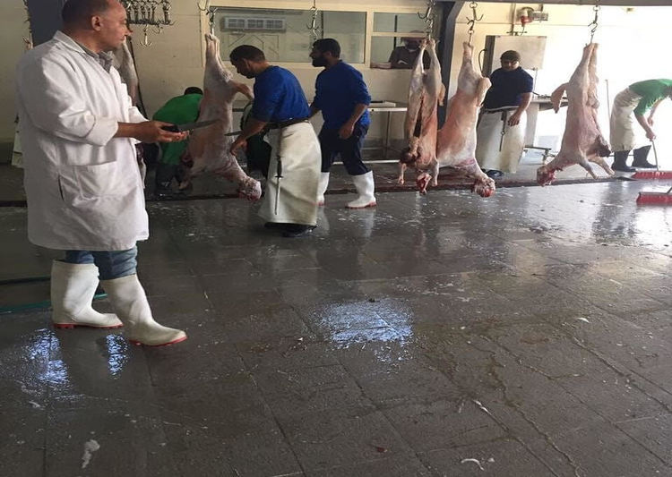 ���� ����� ������� - ����