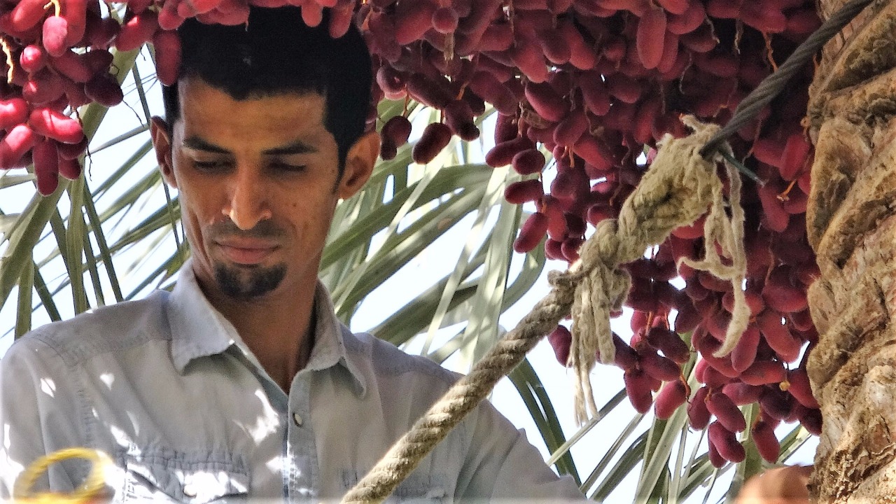 ���� ����� ���� ������ ������ ����� ���� �����