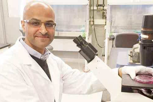 الدكتور ياسر الضامن