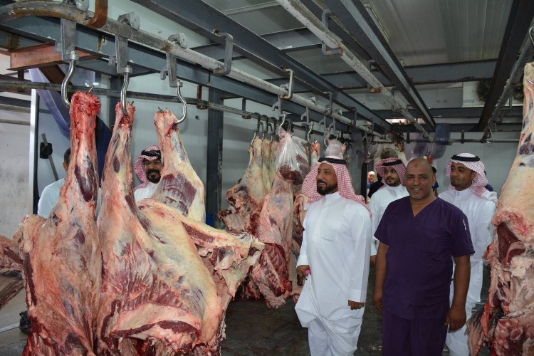 ���� - �����