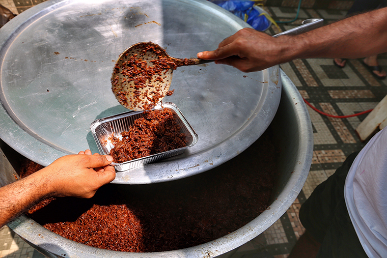 ����� �������