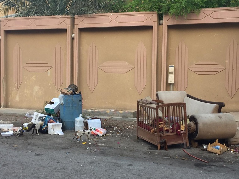 ���� ����� ������� �� ��������