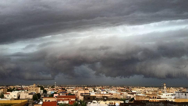 ����� ����� �� �������