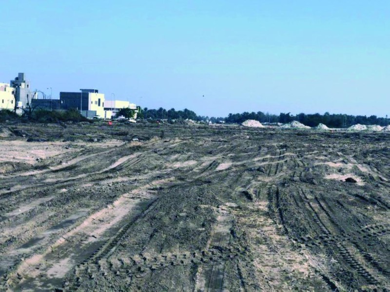 ����� ���� �������� ���� ���� ������ 