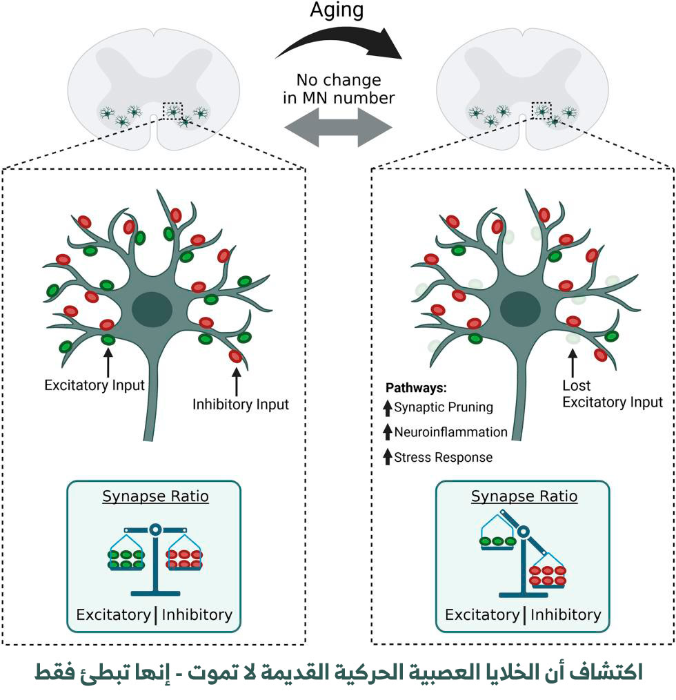 ������ �� ������� ������� ������� ������� �� ���� - ���� ���