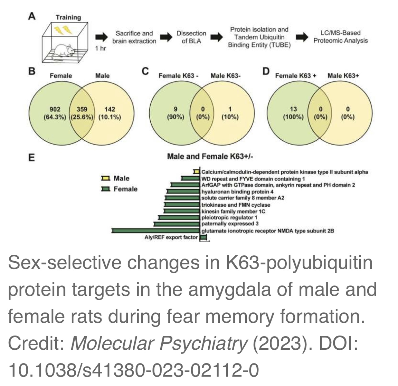 ���� ���� ������ �� ��� ������ �� ������ �������