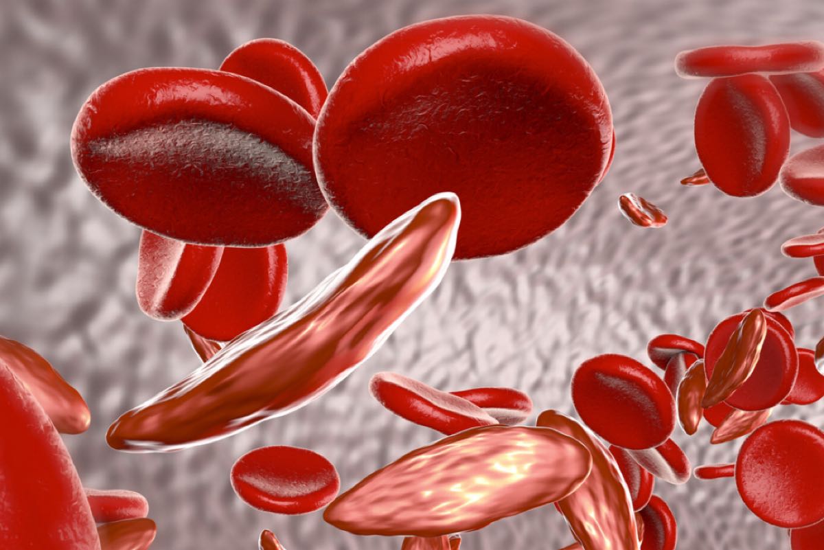 �������� ��������